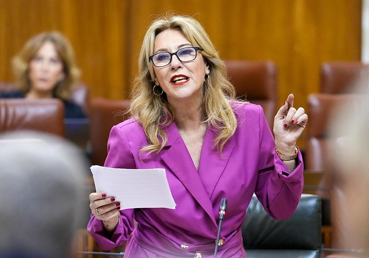 Carolina España, este jueves en el Parlamento andaluz