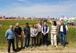 El campo denuncia que la «especulación» topará una buena cosecha