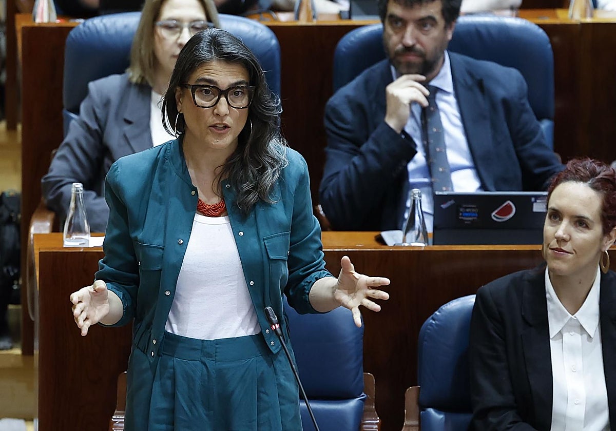 La portavoz de Más Madrid en la Asamblea, Manuela Bergerot