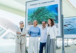 El Oceanogràfic visibiliza el impacto humano en los océanos en una exposición fotográfica en la Ciudad de las Artes y las Ciencias
