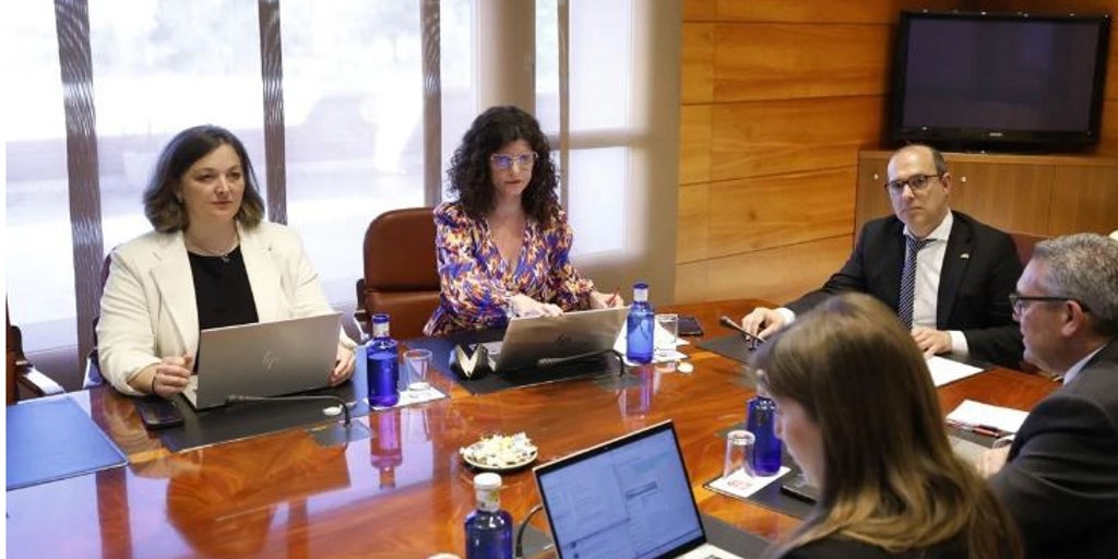 Las Cortes regionales votarán el 29 de mayo el nuevo Estatuto de Castilla-La Mancha