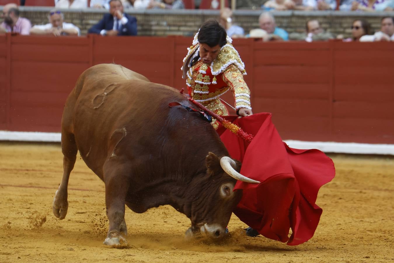 La novillada de Quintana, Zulueta y Fuentes Bocanegra en Córdoba, en imágenes