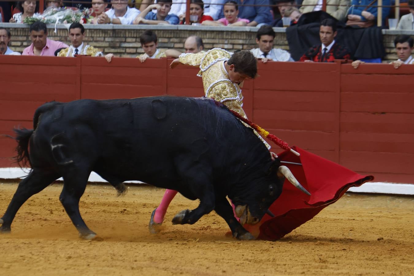 La novillada de Quintana, Zulueta y Fuentes Bocanegra en Córdoba, en imágenes