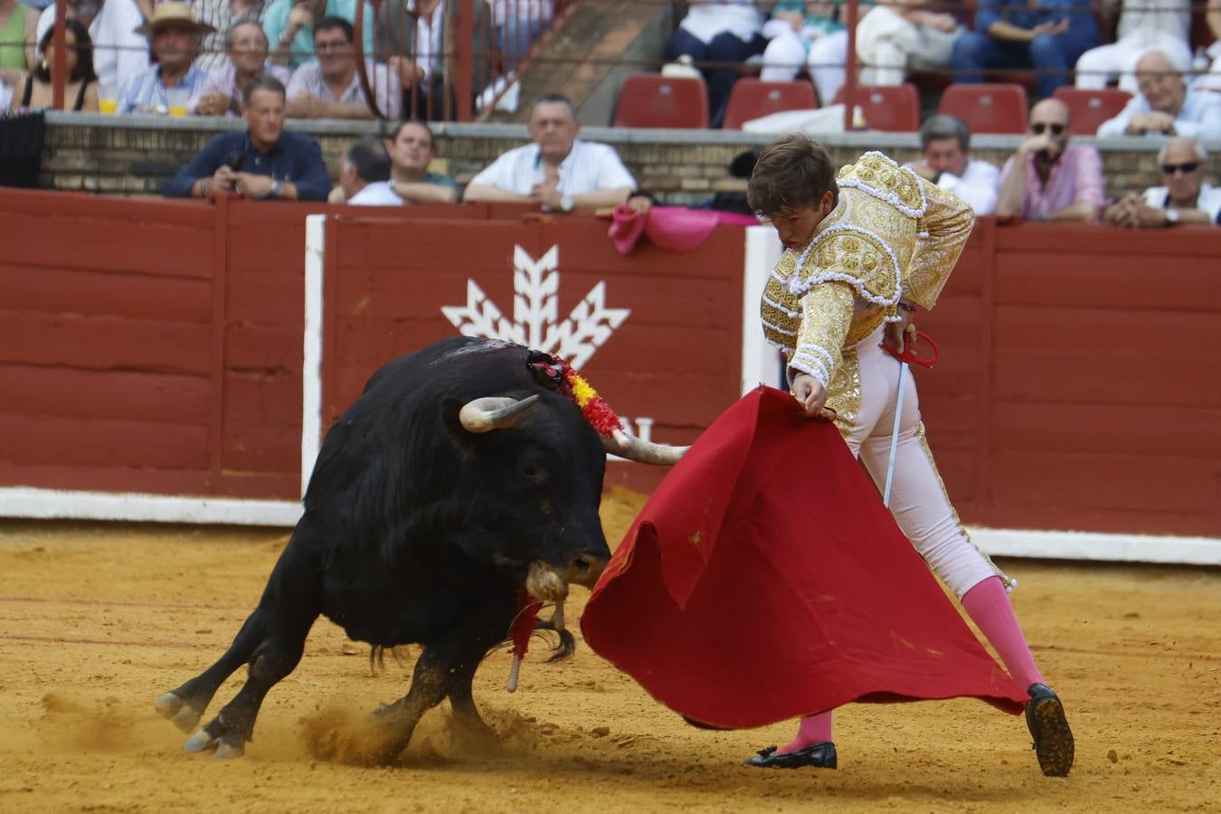 La novillada de Quintana, Zulueta y Fuentes Bocanegra en Córdoba, en imágenes