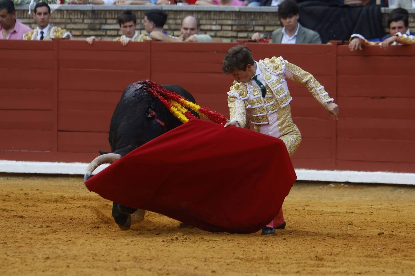 La novillada de Quintana, Zulueta y Fuentes Bocanegra en Córdoba, en imágenes