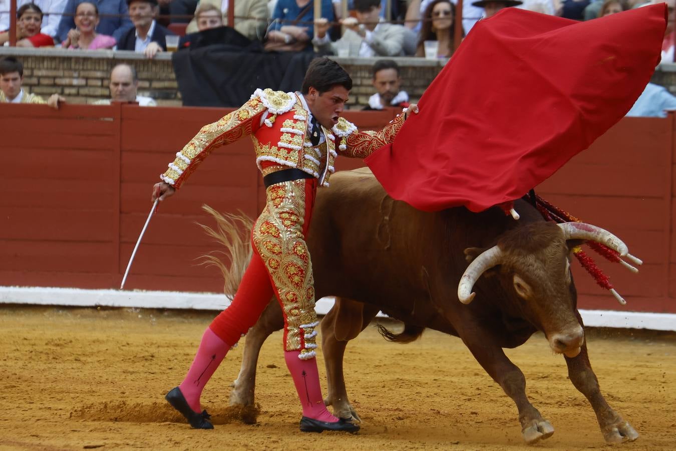 La novillada de Quintana, Zulueta y Fuentes Bocanegra en Córdoba, en imágenes