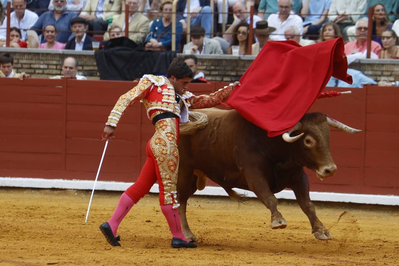 La novillada de Quintana, Zulueta y Fuentes Bocanegra en Córdoba, en imágenes