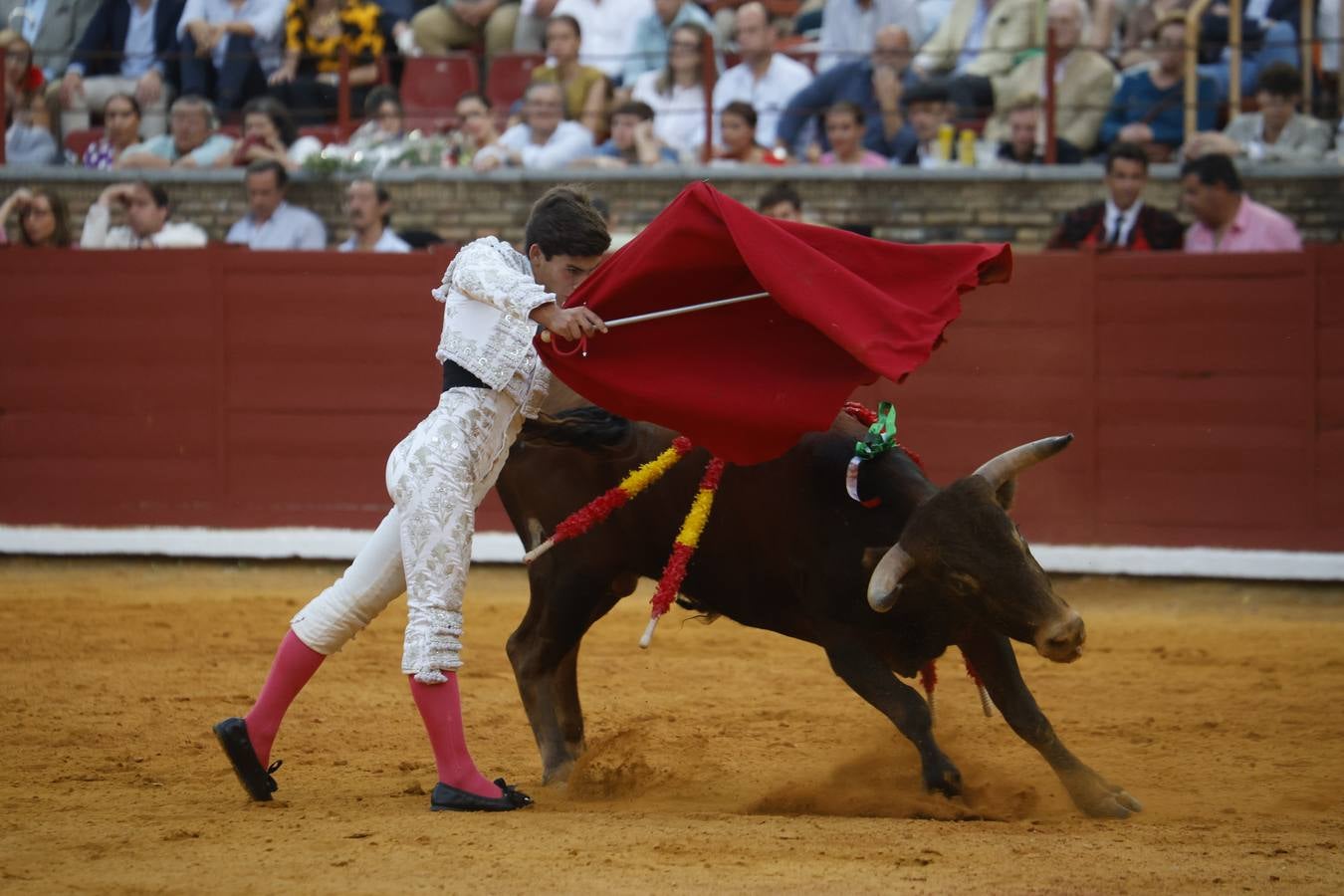 La novillada de Quintana, Zulueta y Fuentes Bocanegra en Córdoba, en imágenes