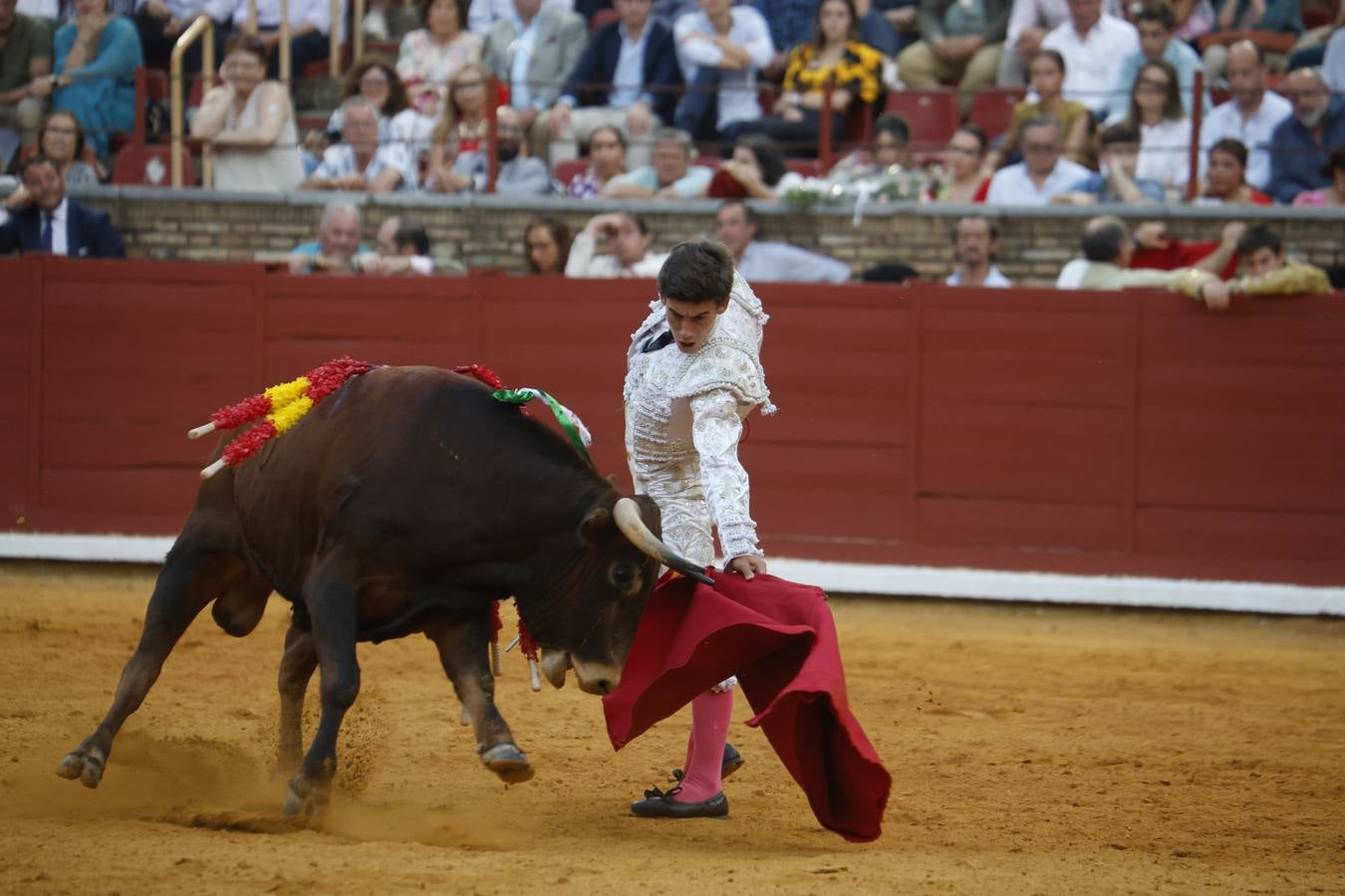 La novillada de Quintana, Zulueta y Fuentes Bocanegra en Córdoba, en imágenes