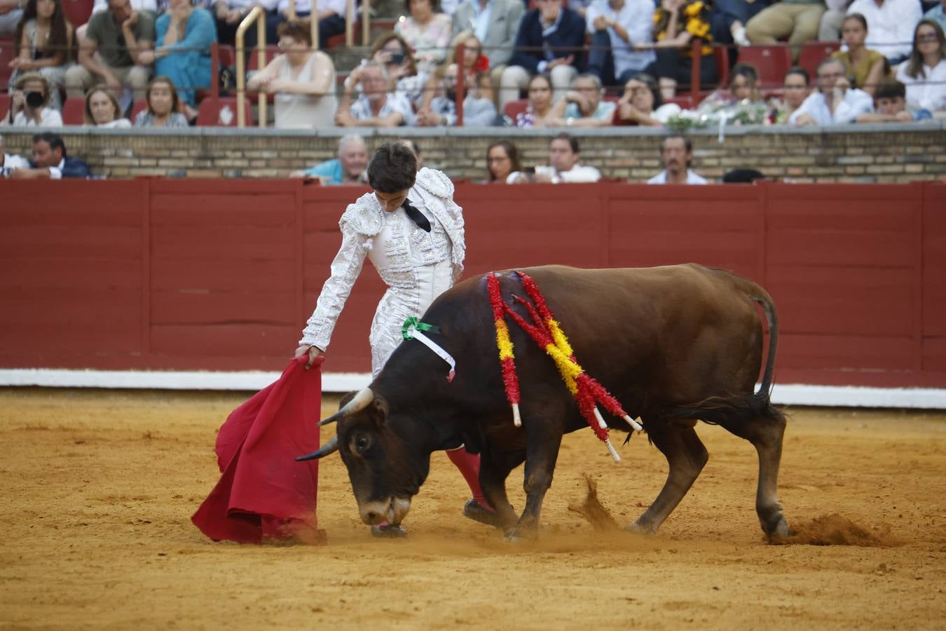 La novillada de Quintana, Zulueta y Fuentes Bocanegra en Córdoba, en imágenes