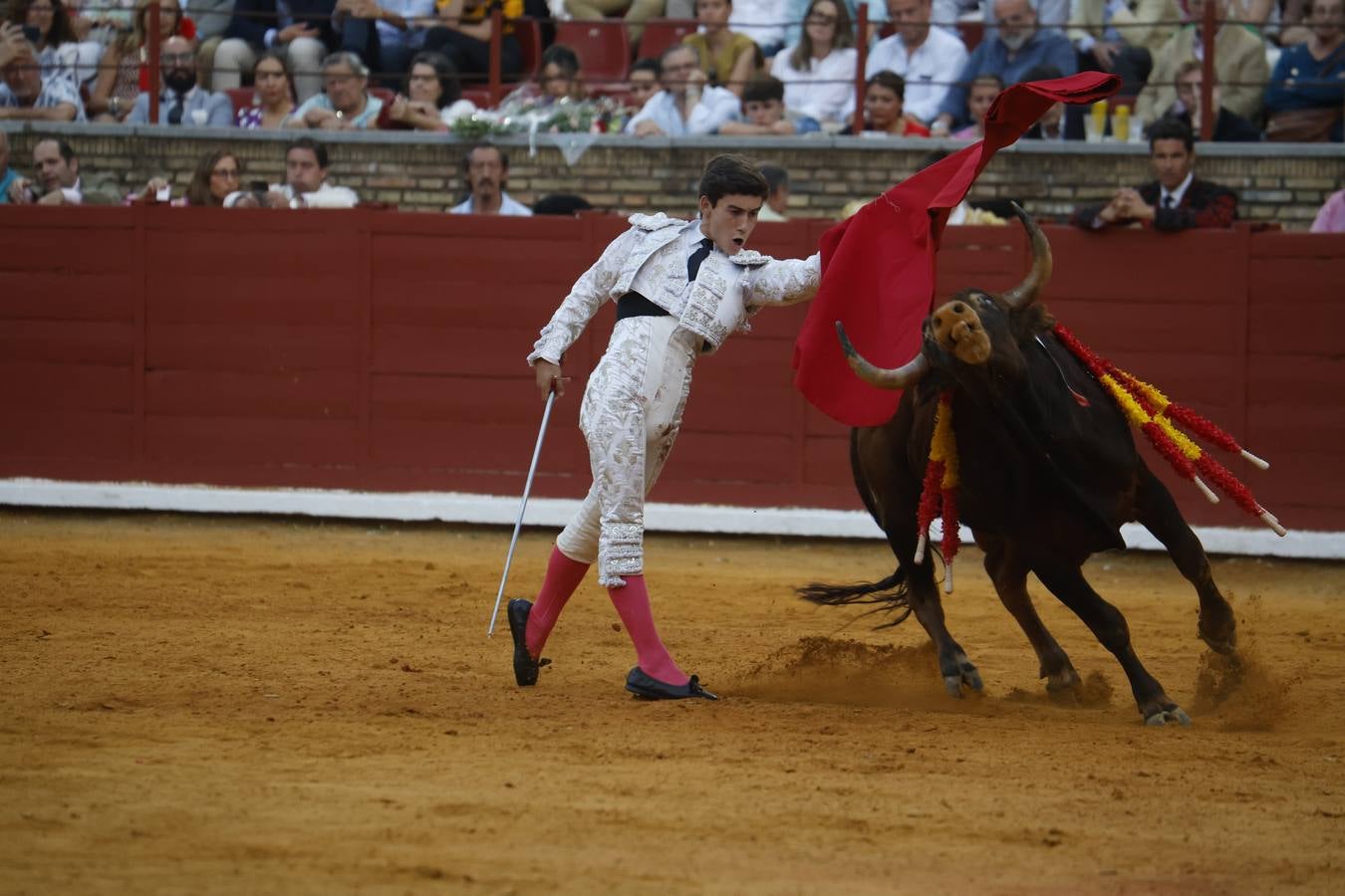 La novillada de Quintana, Zulueta y Fuentes Bocanegra en Córdoba, en imágenes