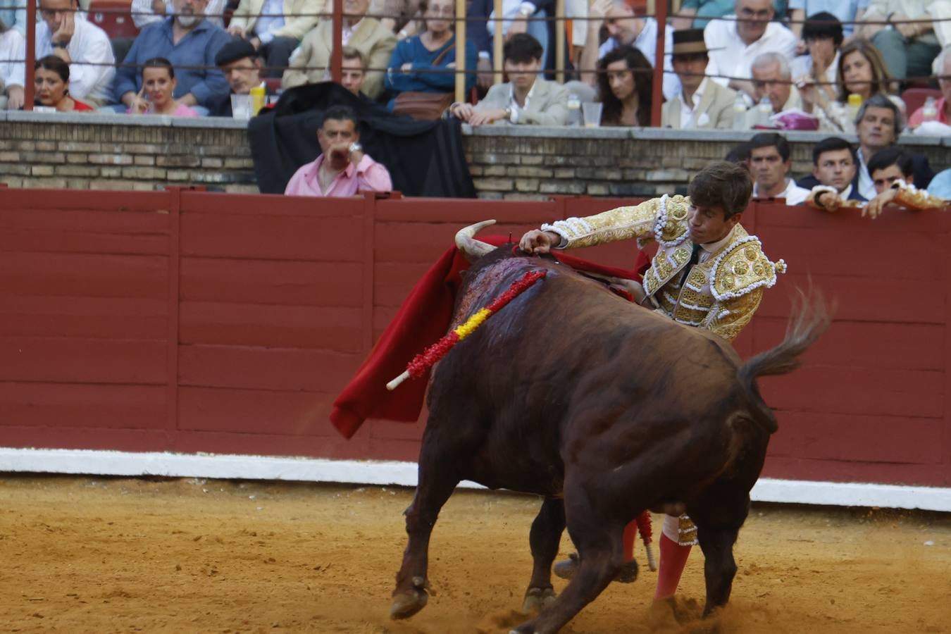 La novillada de Quintana, Zulueta y Fuentes Bocanegra en Córdoba, en imágenes