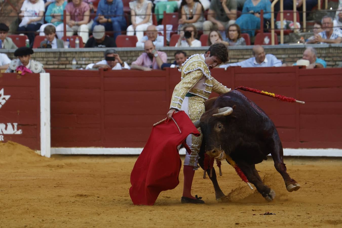 La novillada de Quintana, Zulueta y Fuentes Bocanegra en Córdoba, en imágenes