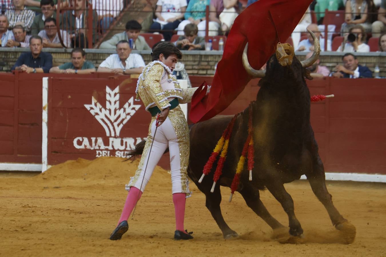 La novillada de Quintana, Zulueta y Fuentes Bocanegra en Córdoba, en imágenes