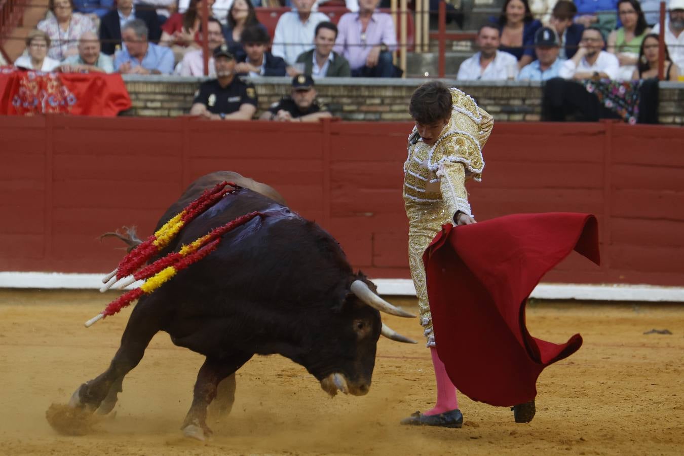 La novillada de Quintana, Zulueta y Fuentes Bocanegra en Córdoba, en imágenes