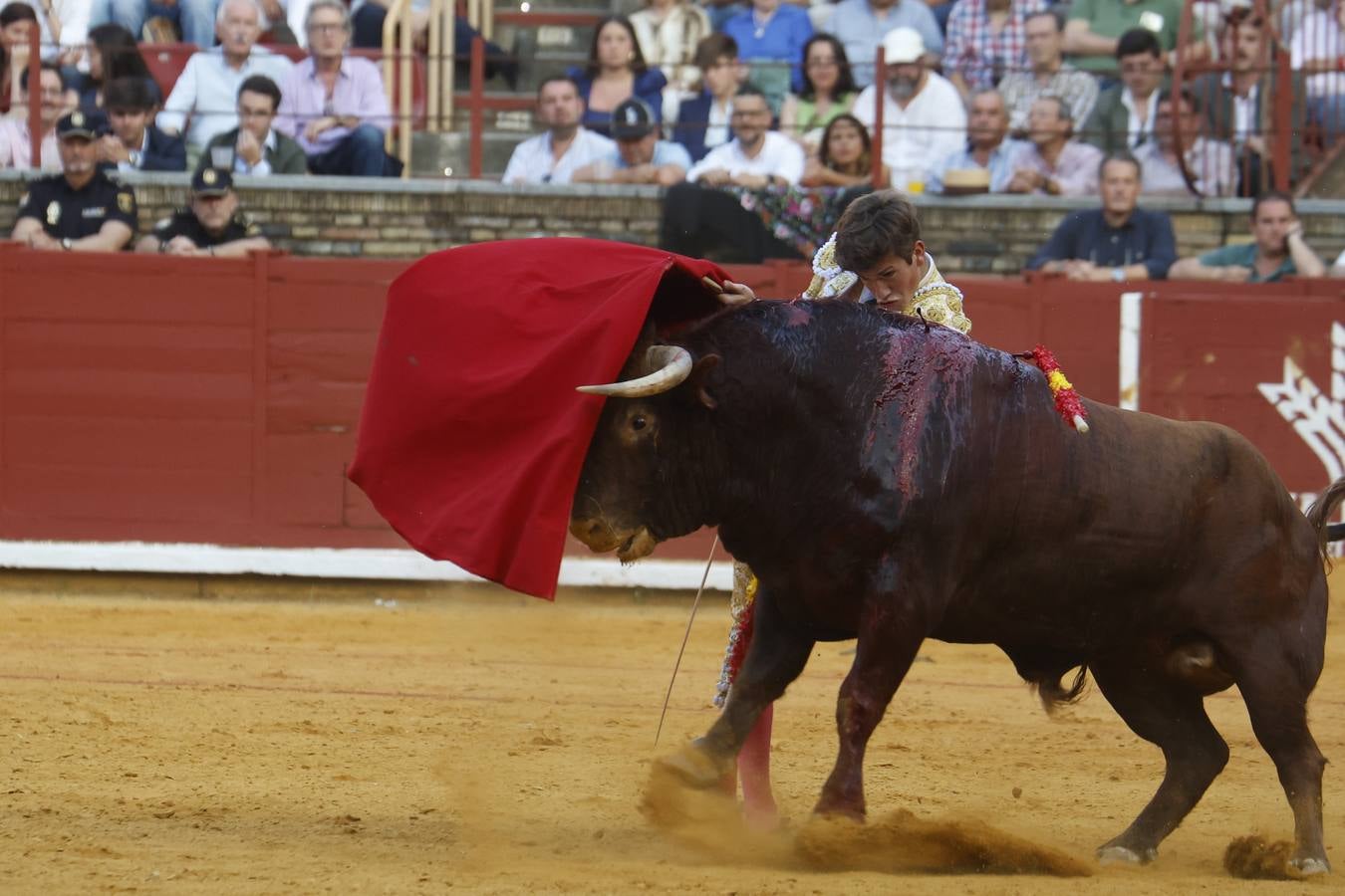 La novillada de Quintana, Zulueta y Fuentes Bocanegra en Córdoba, en imágenes