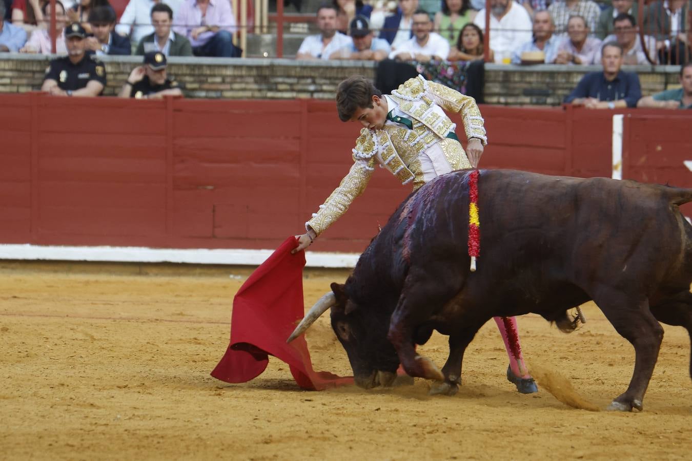 La novillada de Quintana, Zulueta y Fuentes Bocanegra en Córdoba, en imágenes