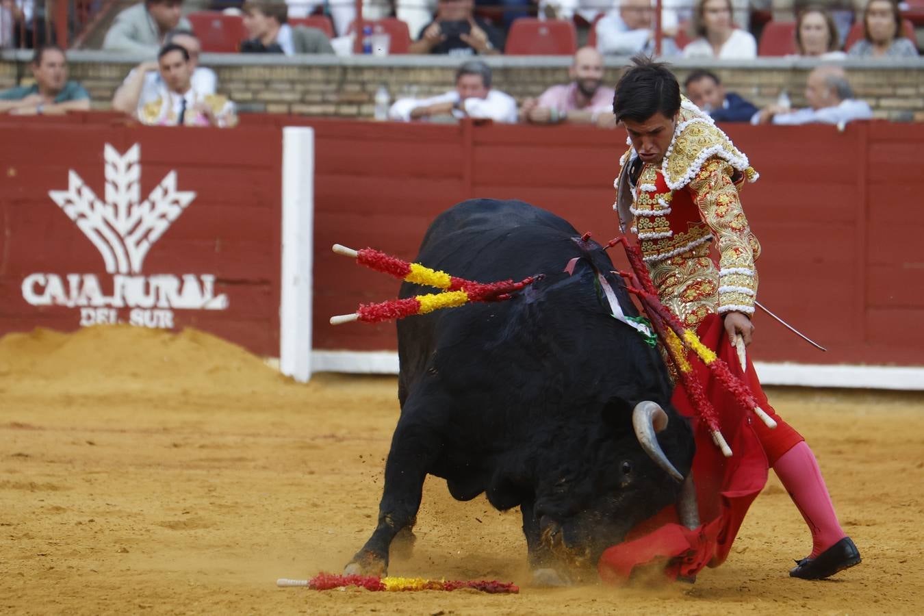 La novillada de Quintana, Zulueta y Fuentes Bocanegra en Córdoba, en imágenes