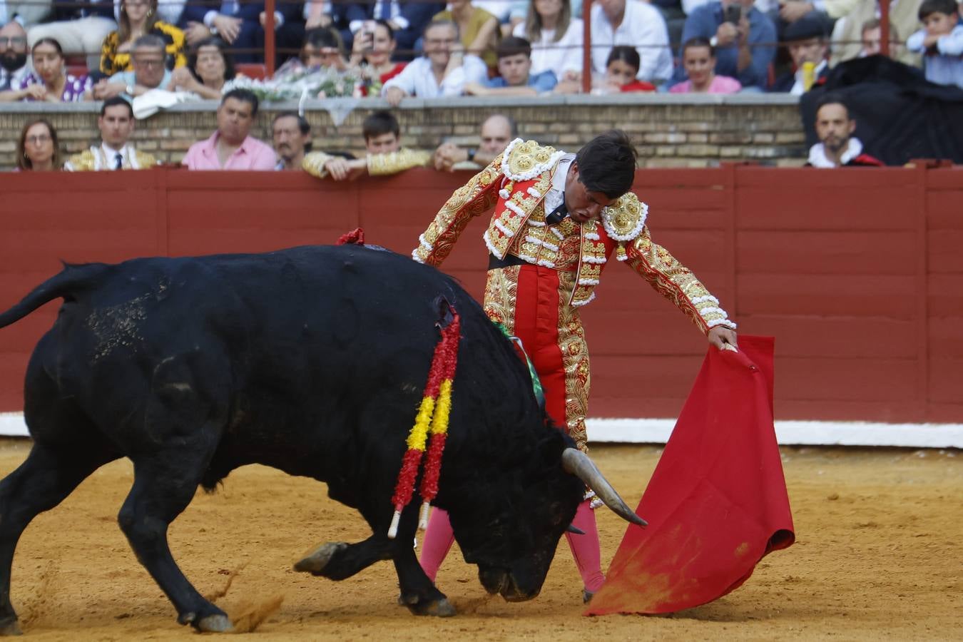 La novillada de Quintana, Zulueta y Fuentes Bocanegra en Córdoba, en imágenes