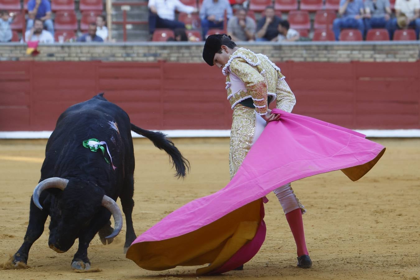 La novillada de Quintana, Zulueta y Fuentes Bocanegra en Córdoba, en imágenes