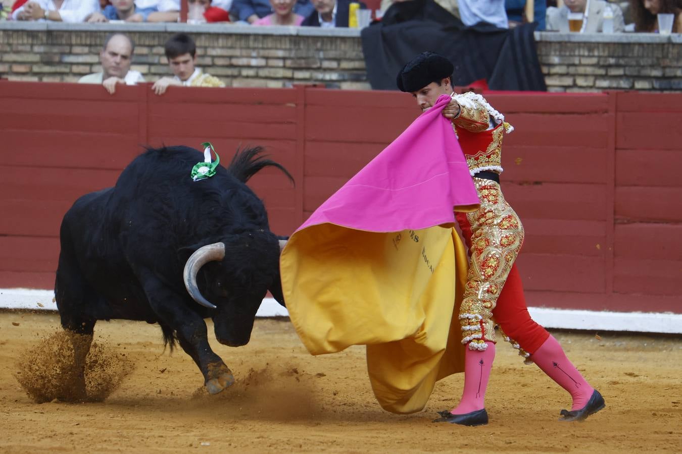 La novillada de Quintana, Zulueta y Fuentes Bocanegra en Córdoba, en imágenes