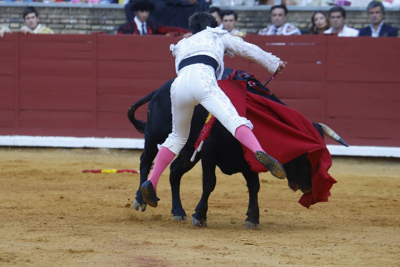 La novillada de Quintana, Zulueta y Fuentes Bocanegra en Córdoba, en imágenes