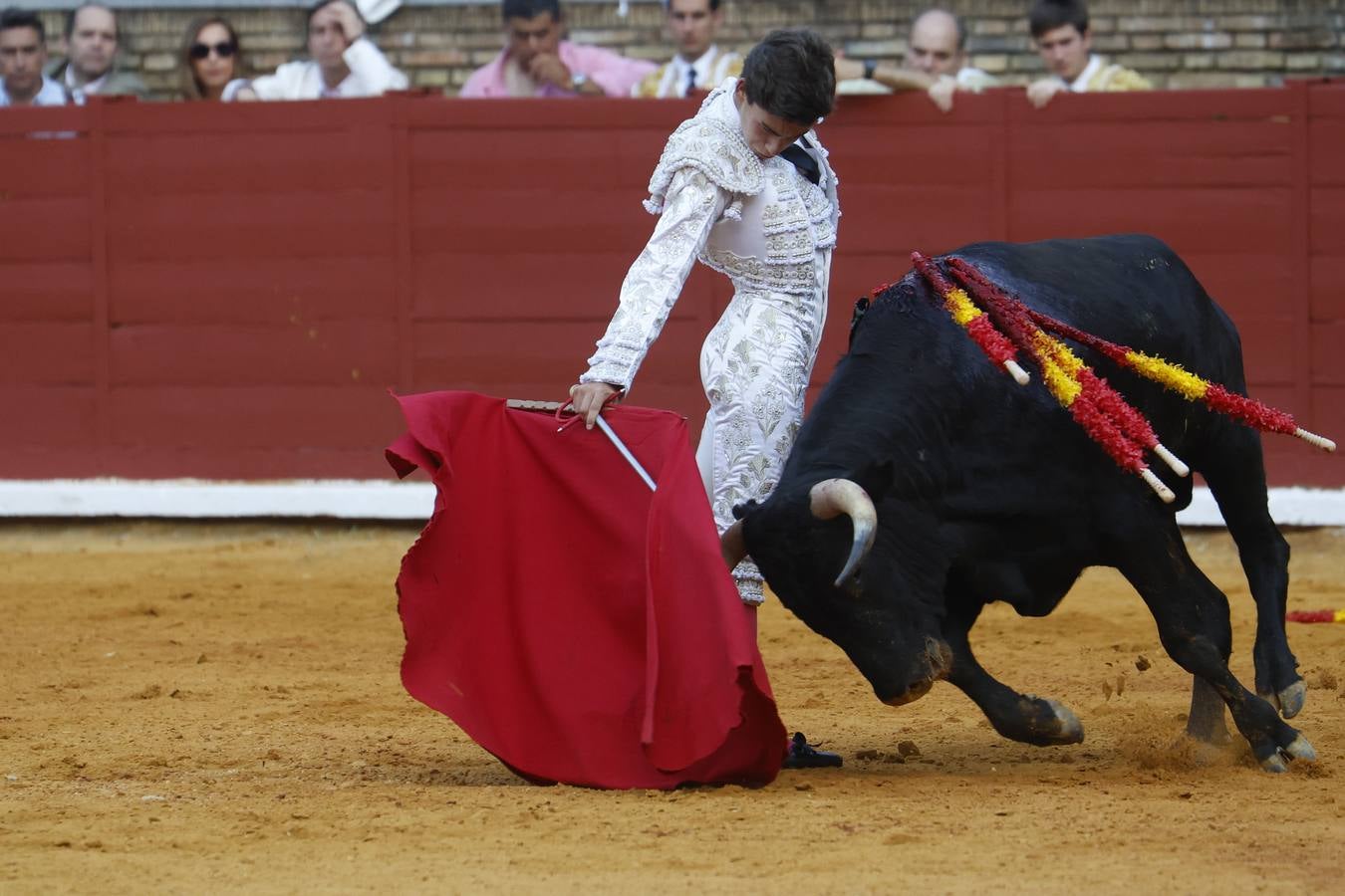 La novillada de Quintana, Zulueta y Fuentes Bocanegra en Córdoba, en imágenes
