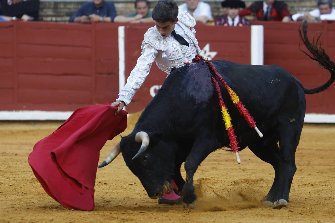 La novillada de Quintana, Zulueta y Fuentes Bocanegra en Córdoba, en imágenes