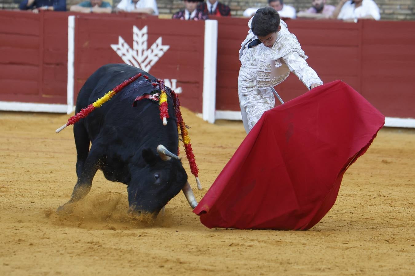 La novillada de Quintana, Zulueta y Fuentes Bocanegra en Córdoba, en imágenes