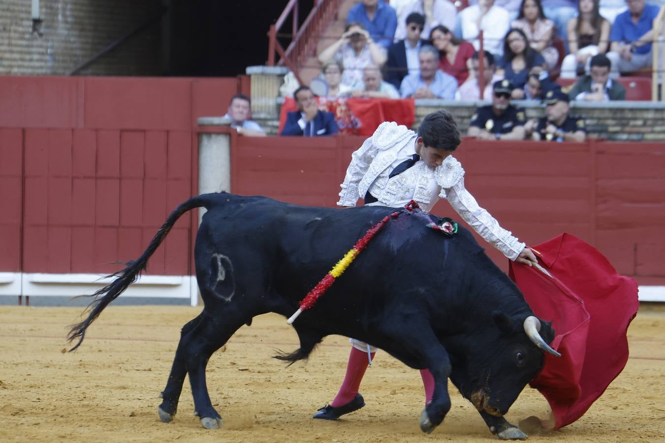 La novillada de Quintana, Zulueta y Fuentes Bocanegra en Córdoba, en imágenes