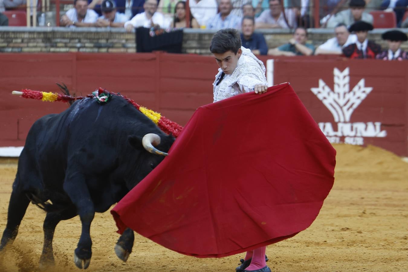 La novillada de Quintana, Zulueta y Fuentes Bocanegra en Córdoba, en imágenes