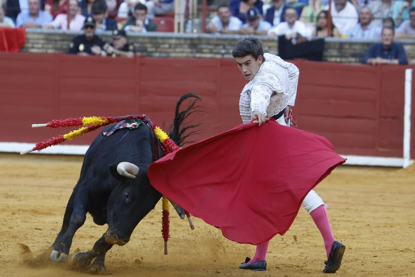 La novillada de Quintana, Zulueta y Fuentes Bocanegra en Córdoba, en imágenes
