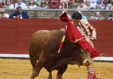La novillada de Quintana, Zulueta y Fuentes Bocanegra en Córdoba, en imágenes