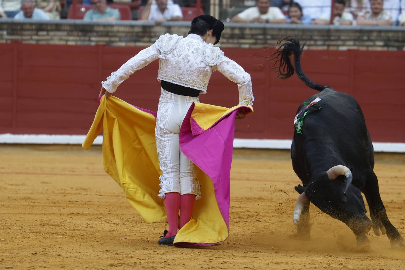La novillada de Quintana, Zulueta y Fuentes Bocanegra en Córdoba, en imágenes