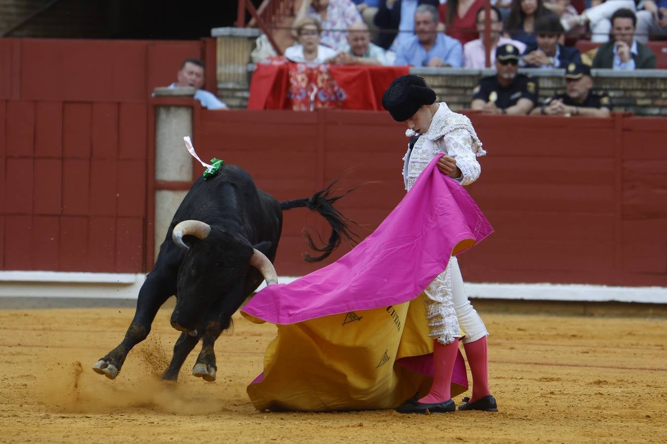 La novillada de Quintana, Zulueta y Fuentes Bocanegra en Córdoba, en imágenes