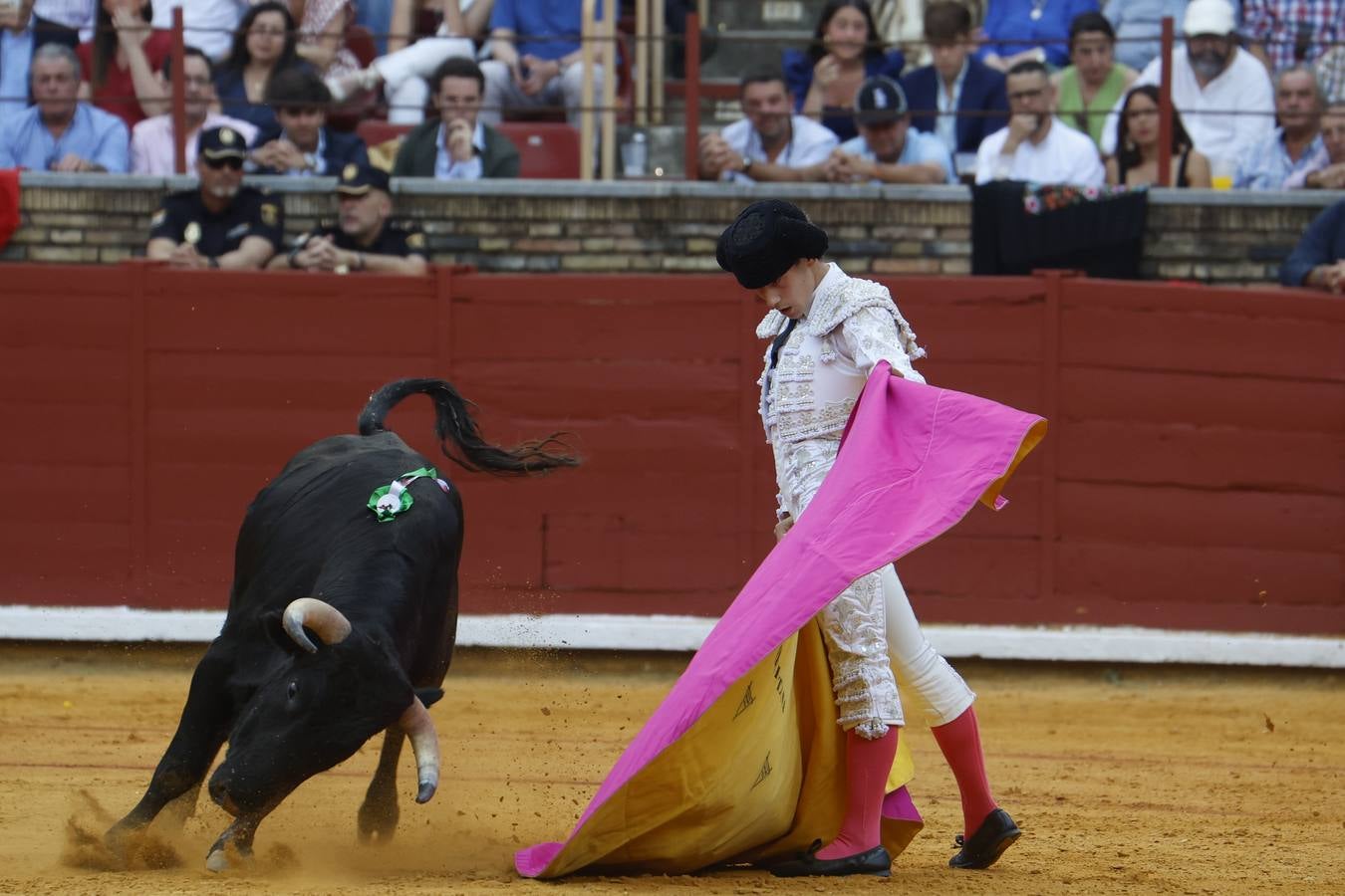 La novillada de Quintana, Zulueta y Fuentes Bocanegra en Córdoba, en imágenes