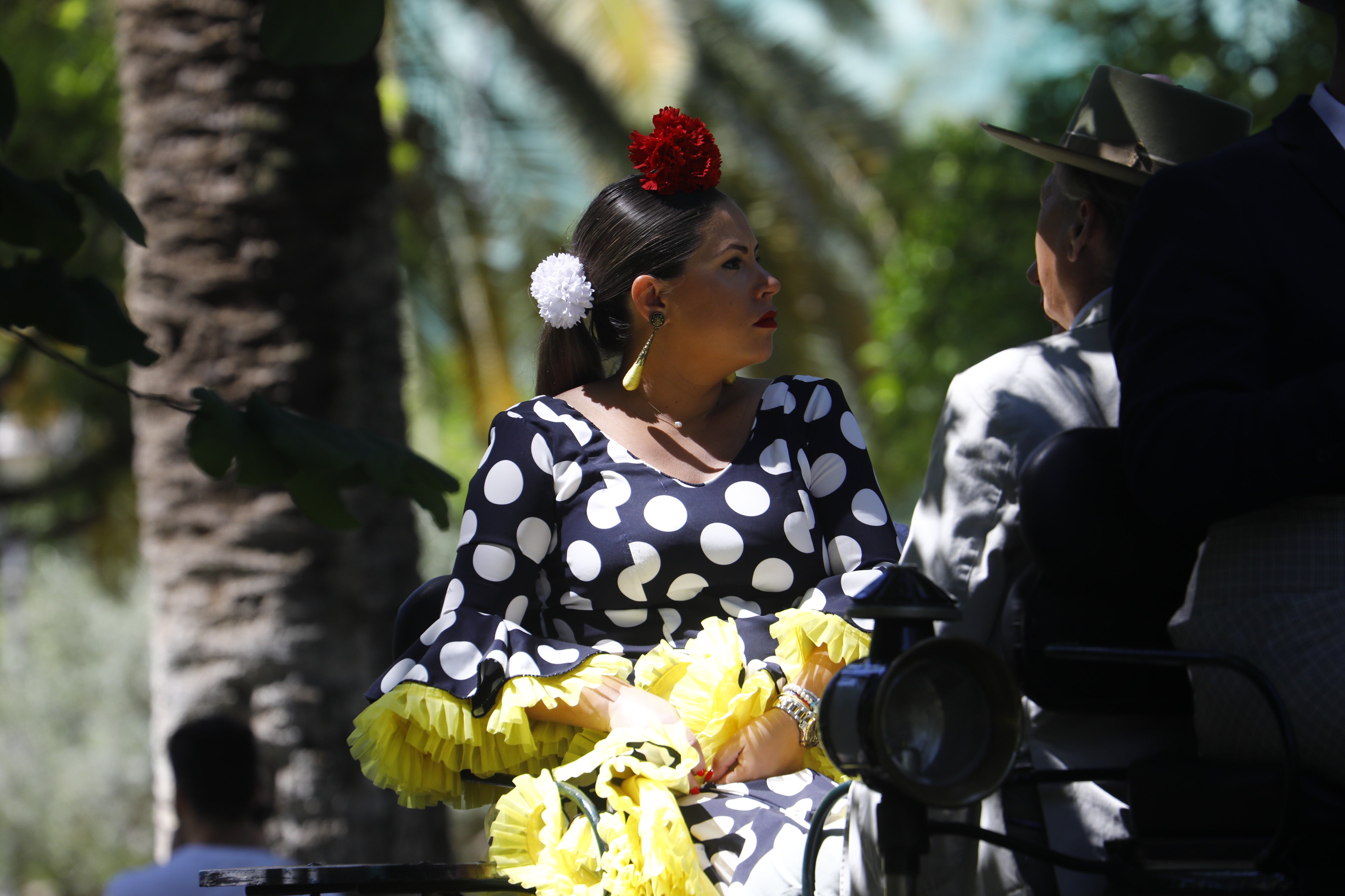 Las mejores imágenes de la Exhibición de Enganches de la Feria de Córdoba