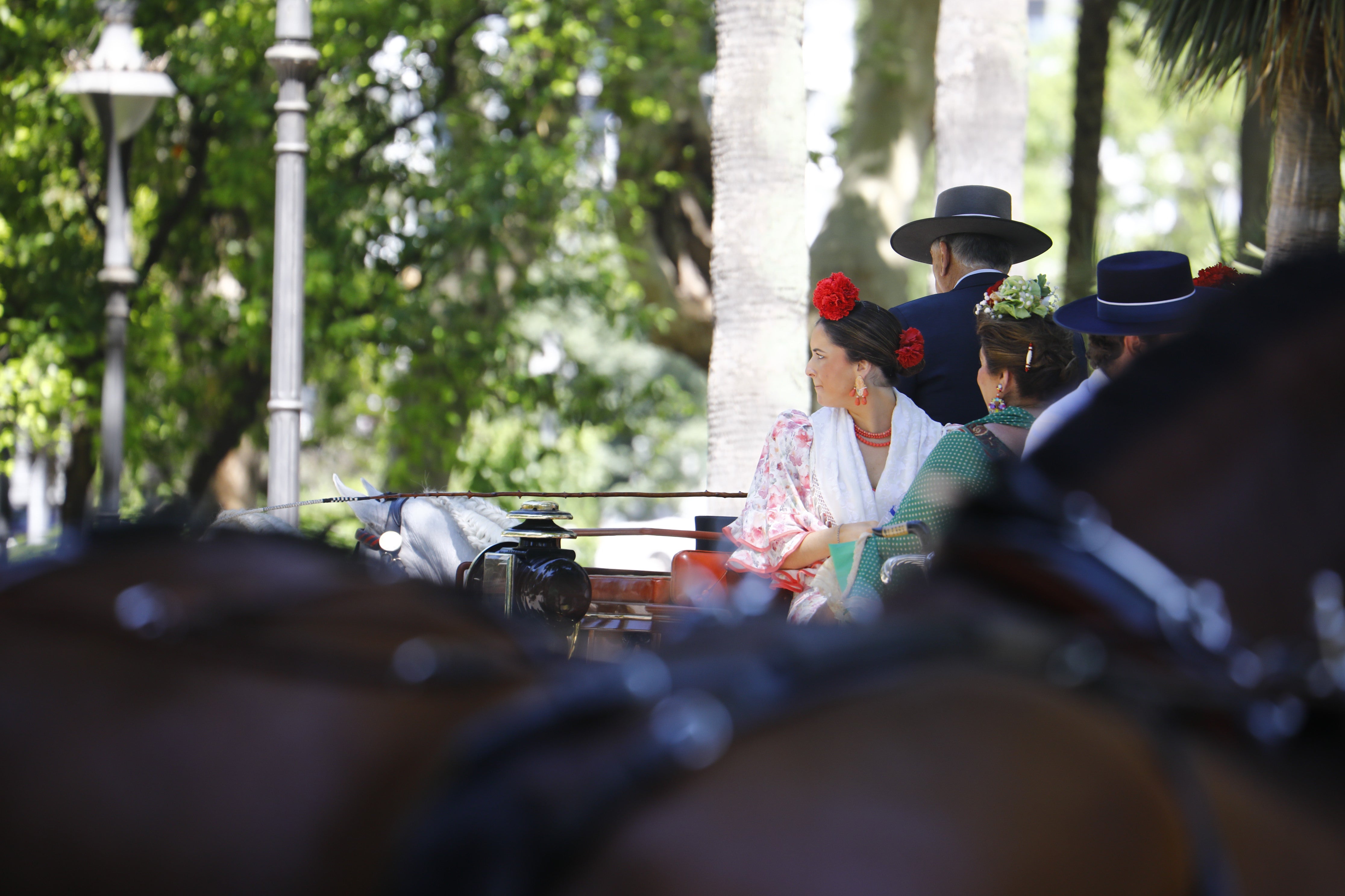 Las mejores imágenes de la Exhibición de Enganches de la Feria de Córdoba