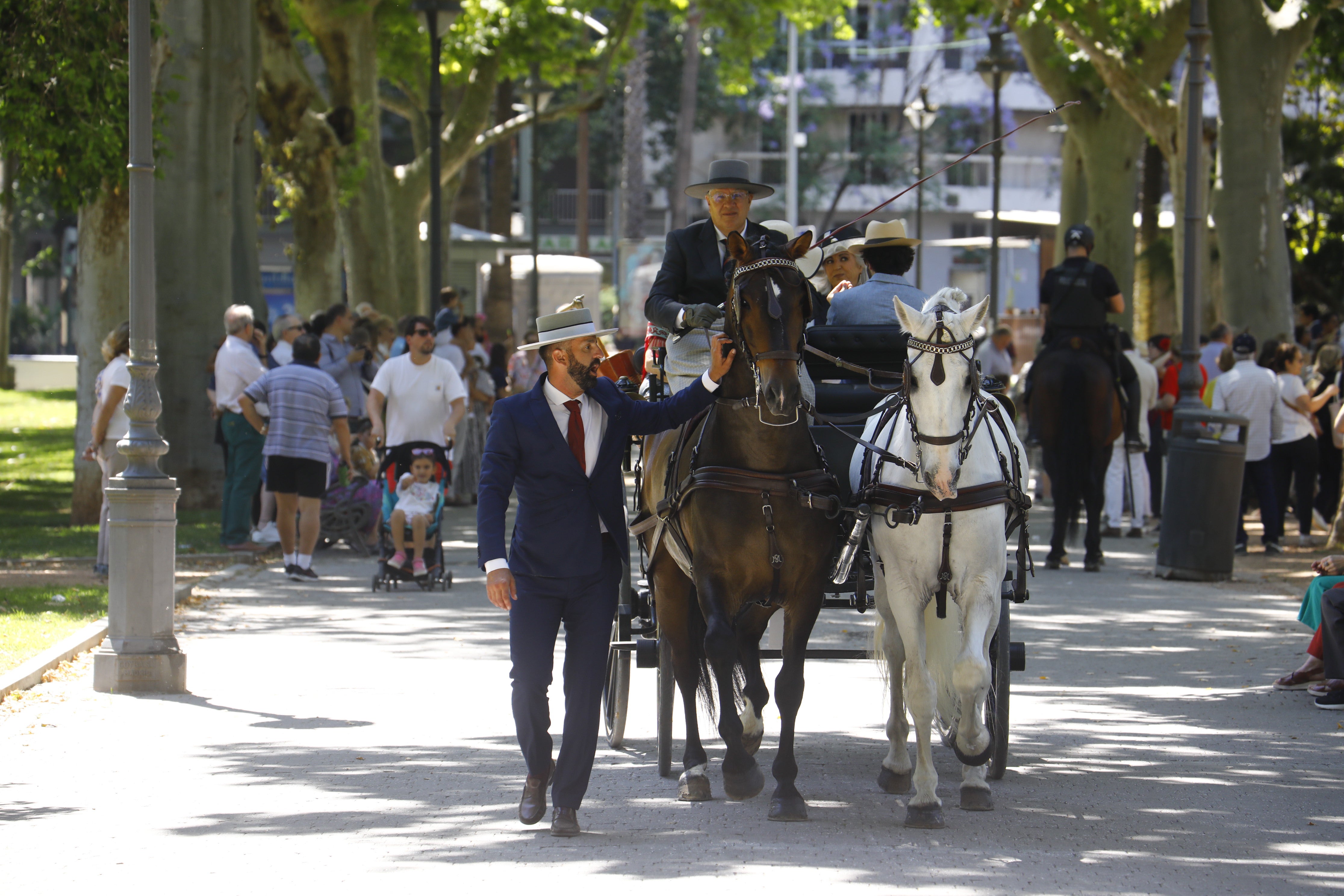 Las mejores imágenes de la Exhibición de Enganches de la Feria de Córdoba