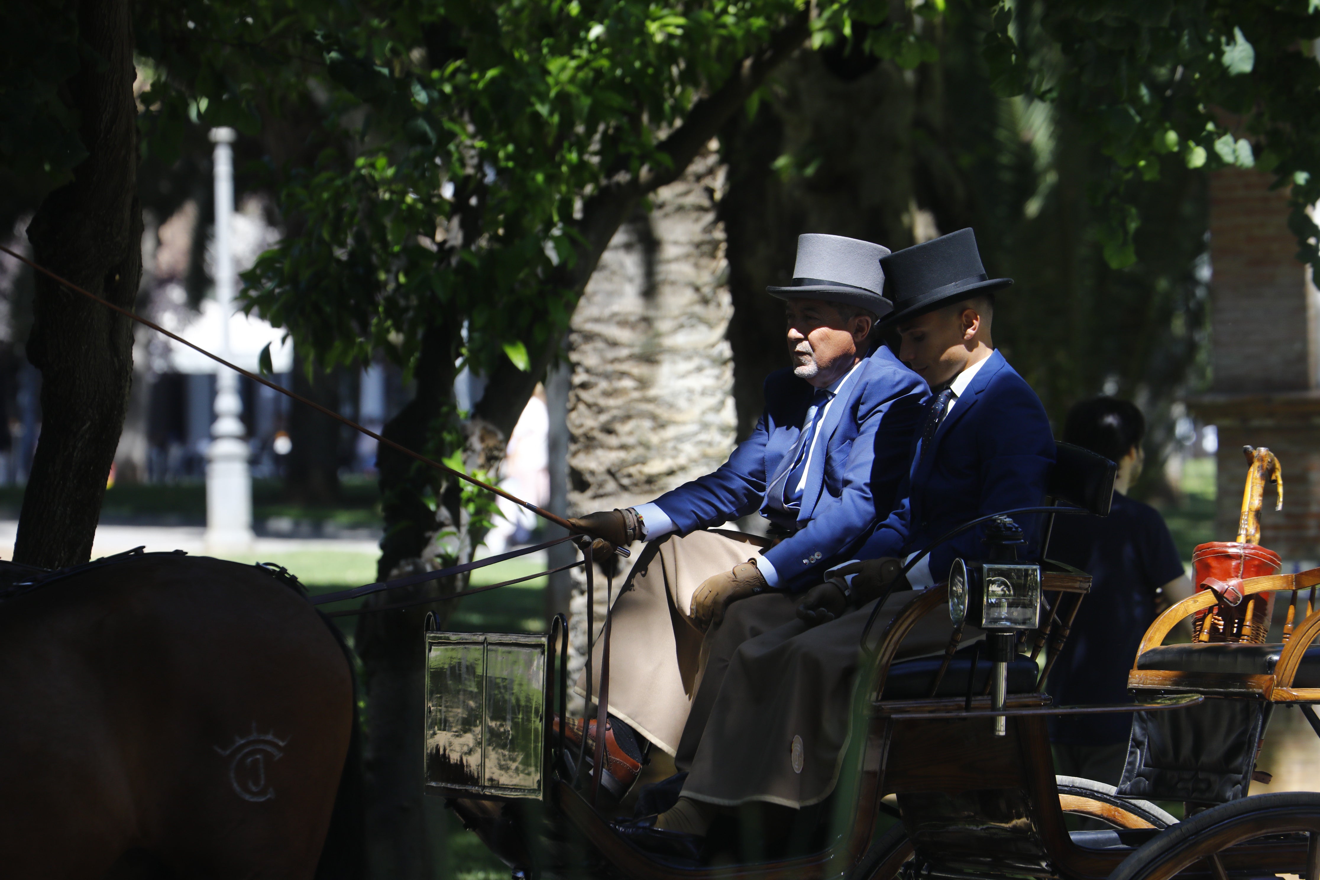 Las mejores imágenes de la Exhibición de Enganches de la Feria de Córdoba