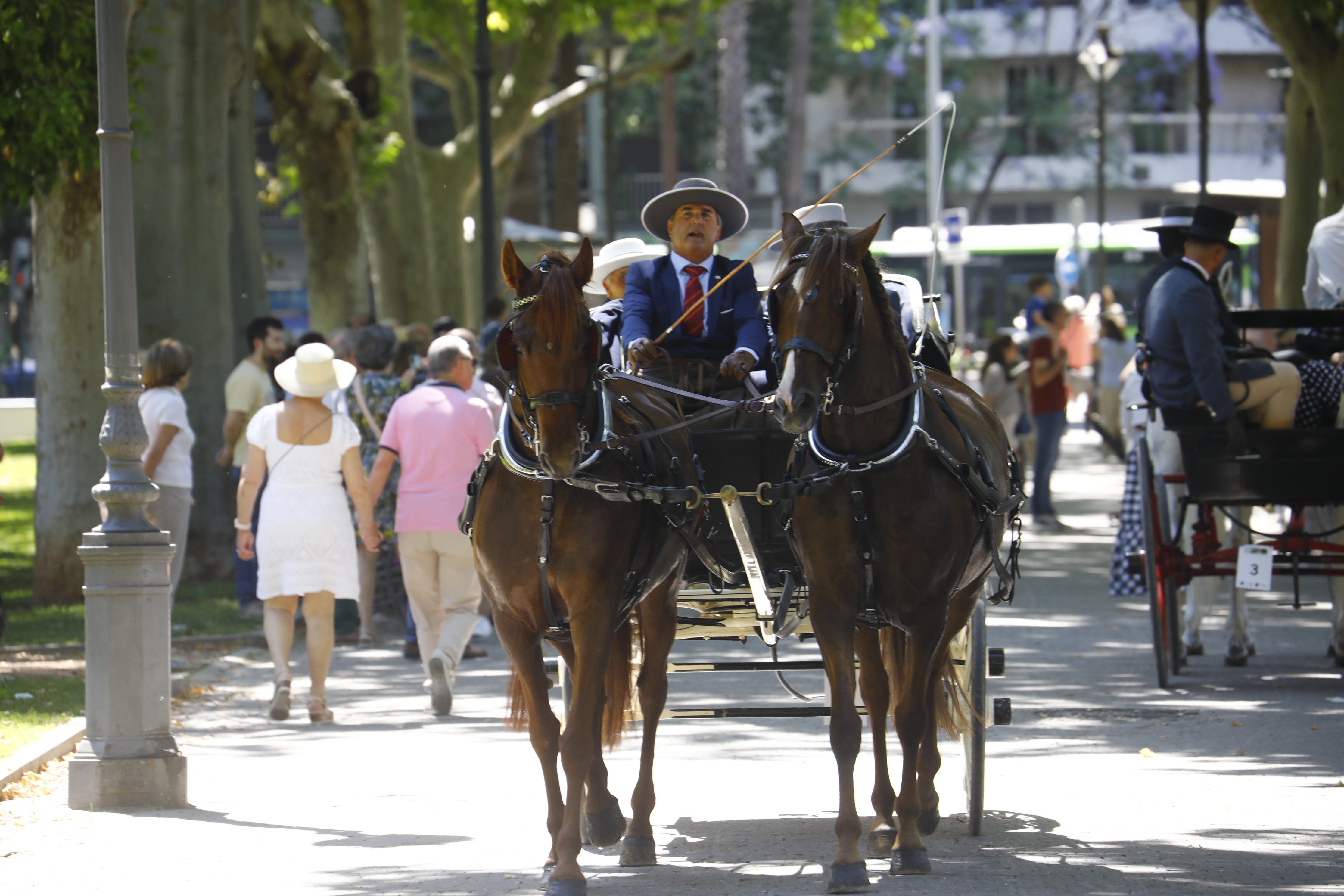 Las mejores imágenes de la Exhibición de Enganches de la Feria de Córdoba