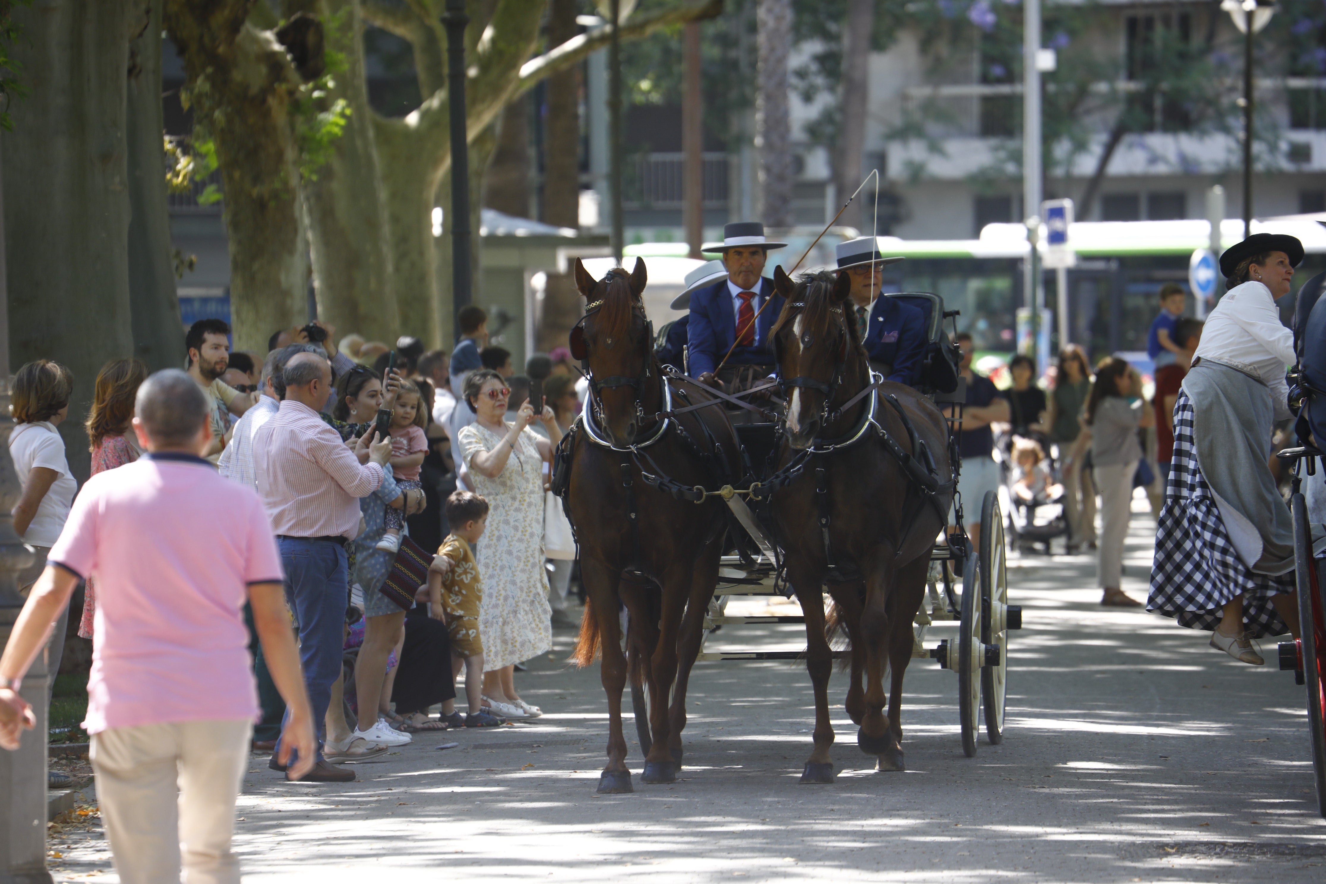 Las mejores imágenes de la Exhibición de Enganches de la Feria de Córdoba