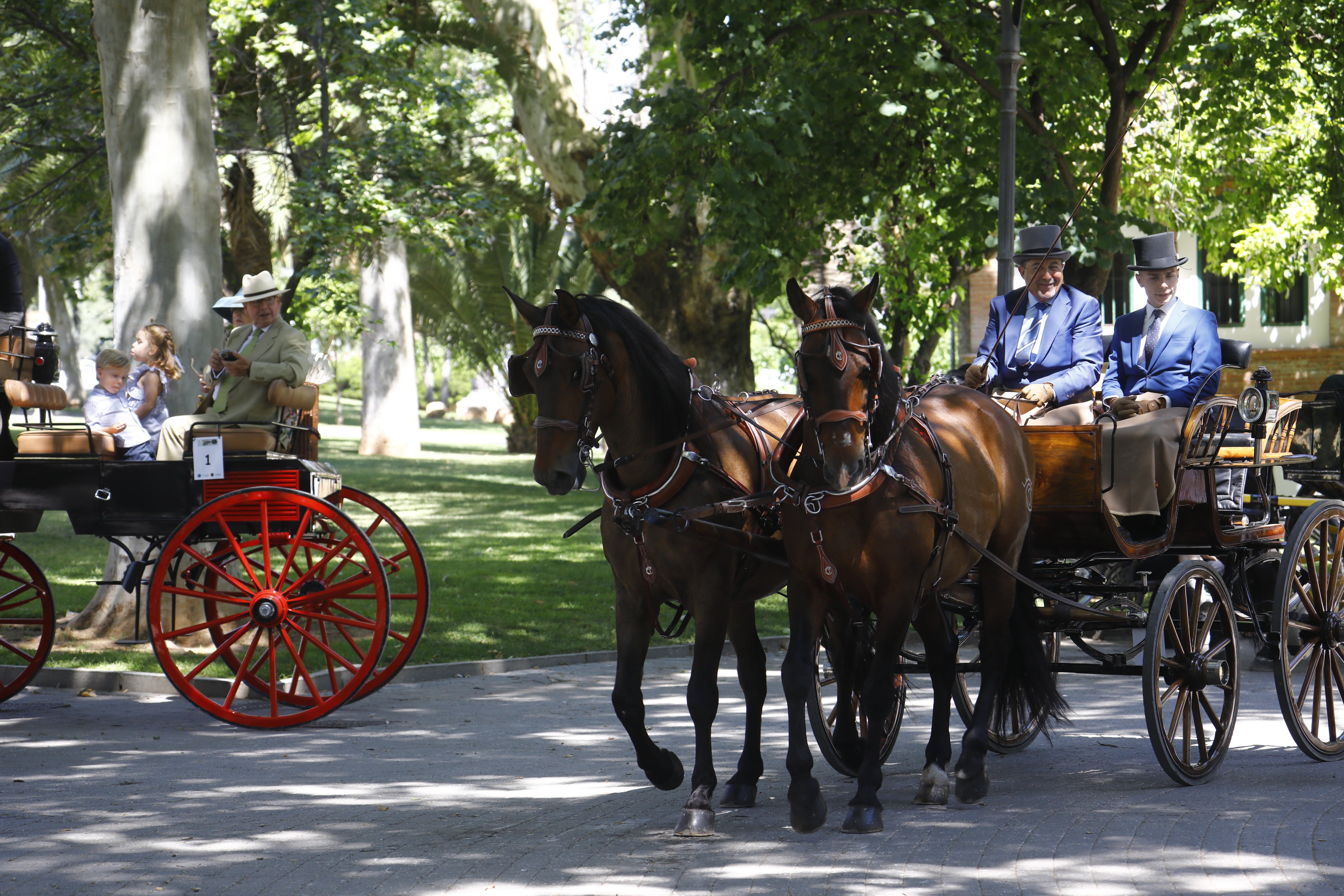 Las mejores imágenes de la Exhibición de Enganches de la Feria de Córdoba