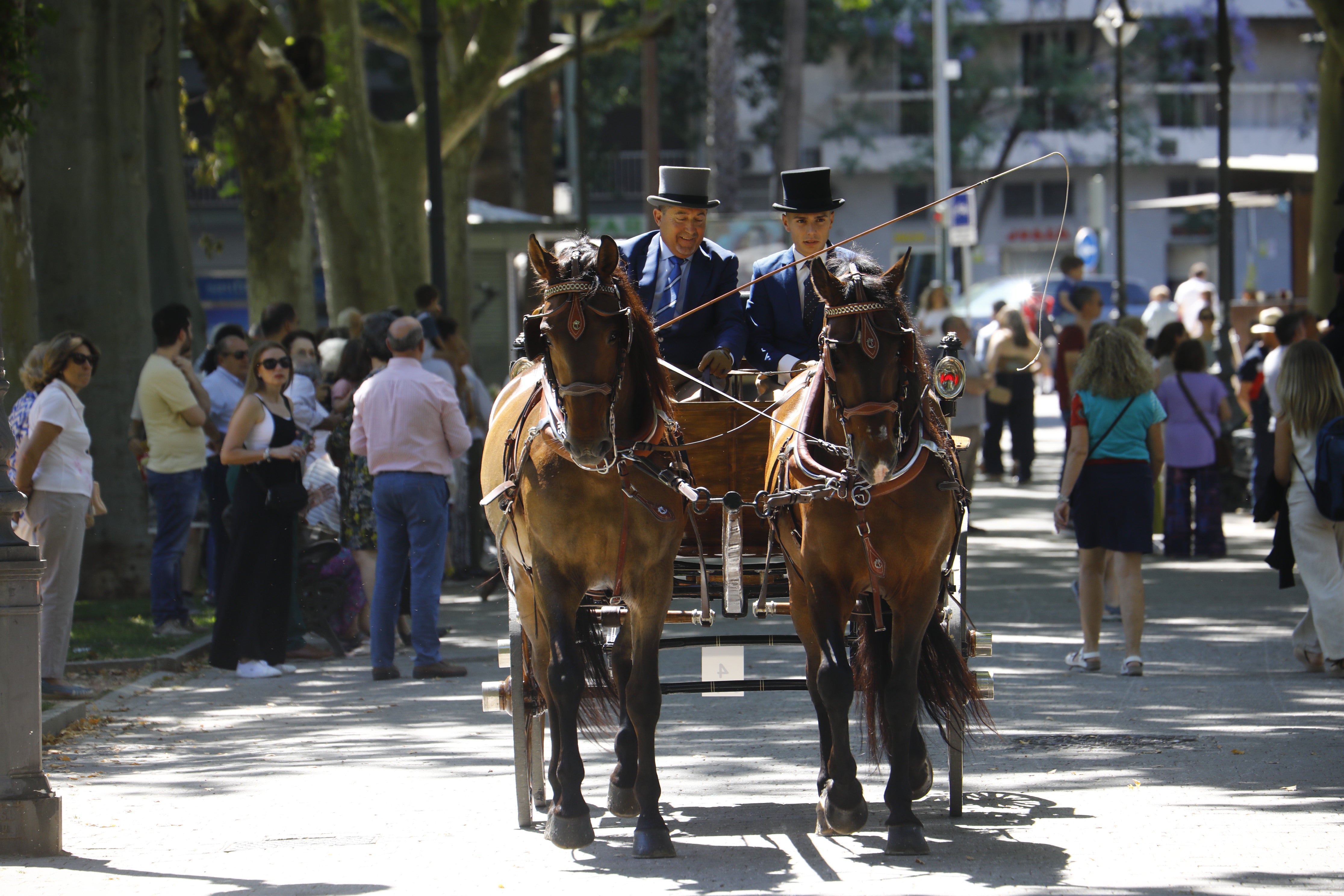 Las mejores imágenes de la Exhibición de Enganches de la Feria de Córdoba