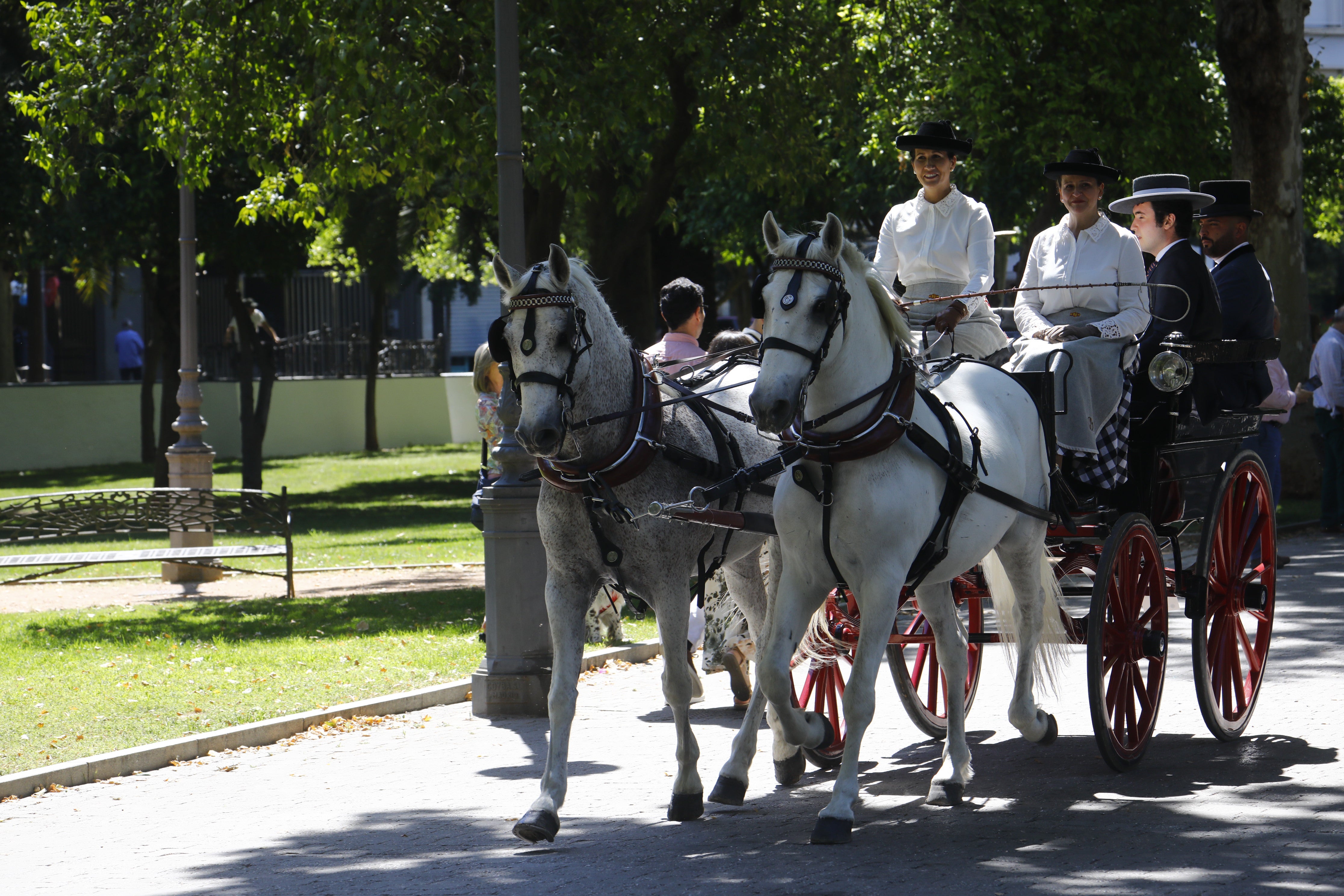 Las mejores imágenes de la Exhibición de Enganches de la Feria de Córdoba