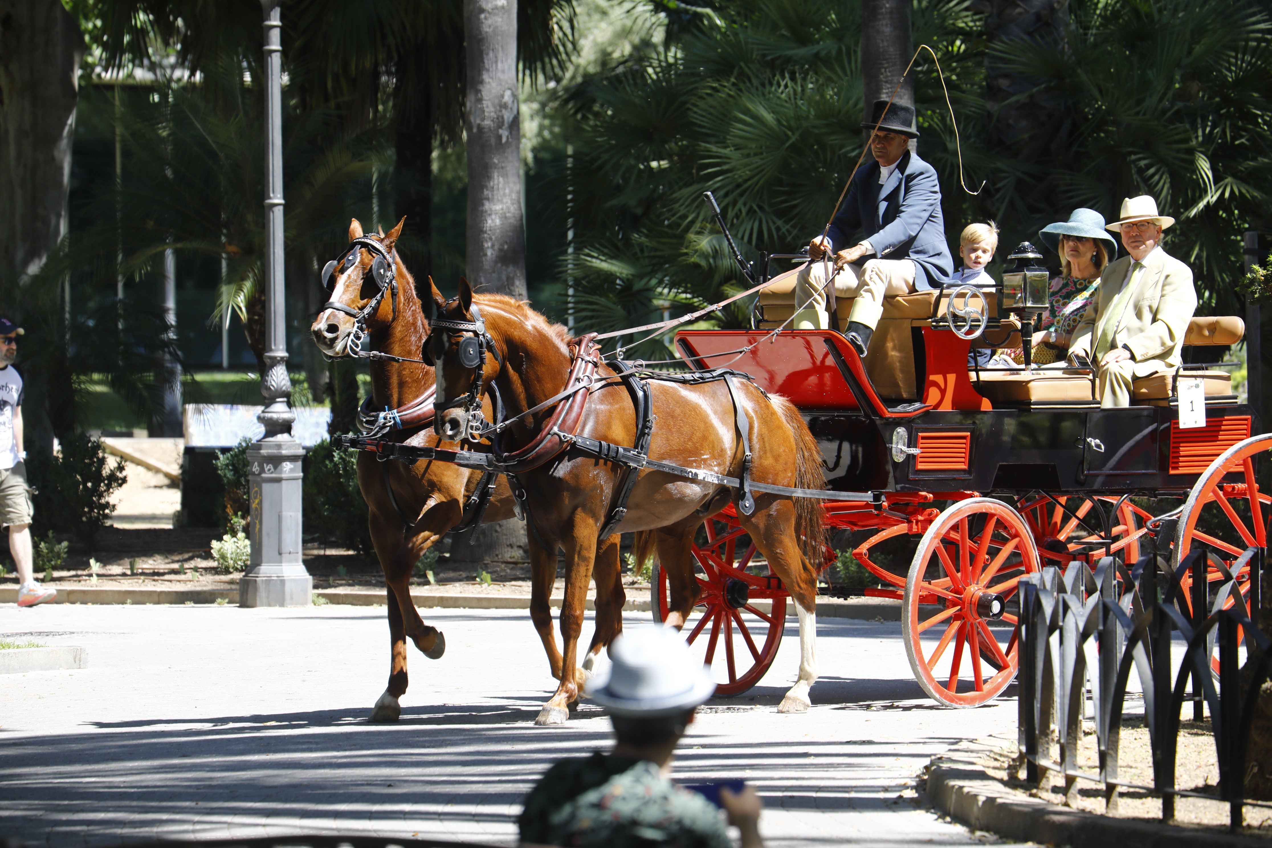 Las mejores imágenes de la Exhibición de Enganches de la Feria de Córdoba
