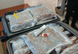 «Venimos a hacer turismo a Valencia»: pillan a una pareja británica con 33 kilos de marihuana en la maleta