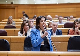 Defensa concede 650 millones a las misiones en el exterior e impulsa un nuevo buque de aprovisionamiento