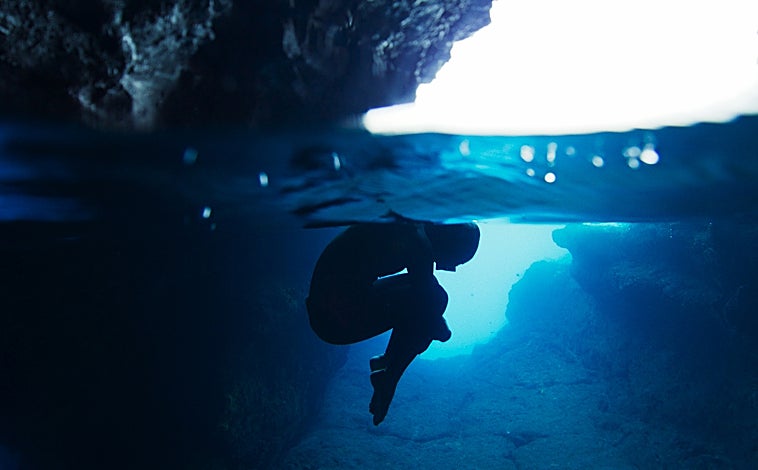 Imagen principal - La sobrexplotación de Canarias encabeza el festival de cine de los océanos más importante de Europa