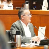 Imagen - Ariza anunció en las Cortes la presentación próxima de la Estrategia frente a la Soledad no Deseada